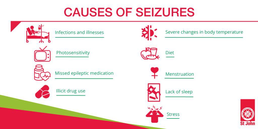 Causes of Seizures infographic