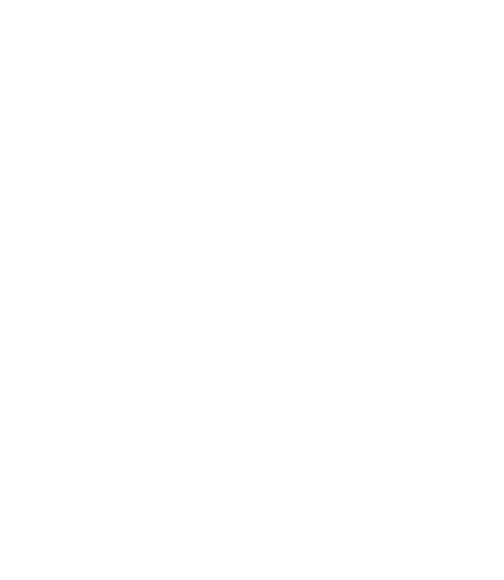 Social Traders Certified Social Enterprise Logo