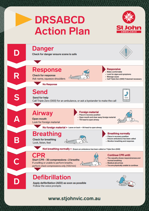 DRSABCD Action Plan New Branding .png